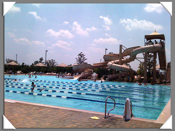Swimming pool.jpg